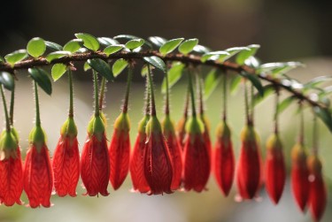 肇庆鼎湖区5私人快速借钱网，轻松解决资金难题