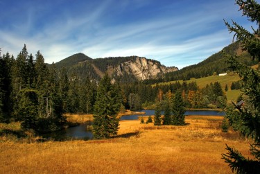 肇庆鼎湖区5民间私贷攻略：揭秘低成本借贷的秘密