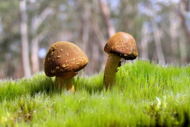 肇庆鼎湖区5私人老板放款：轻松融资的秘密通道